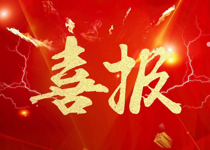喜报 | LEwin乐玩显示荣膺LED显示屏行业2019年知名品牌